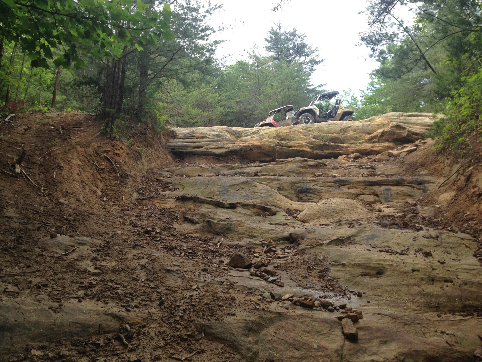 Pickett State Forest OHV Trail