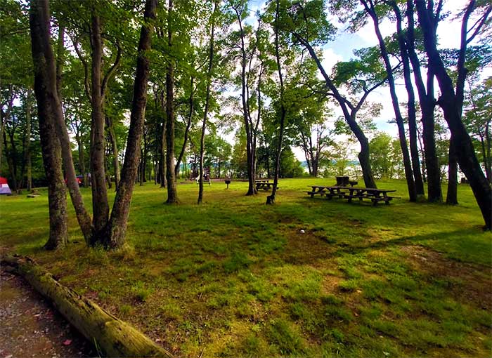 Wilsonville Recreation Area